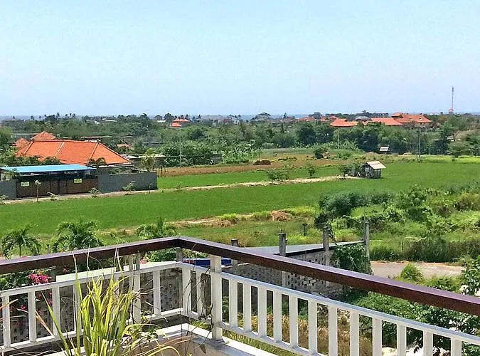 Views *